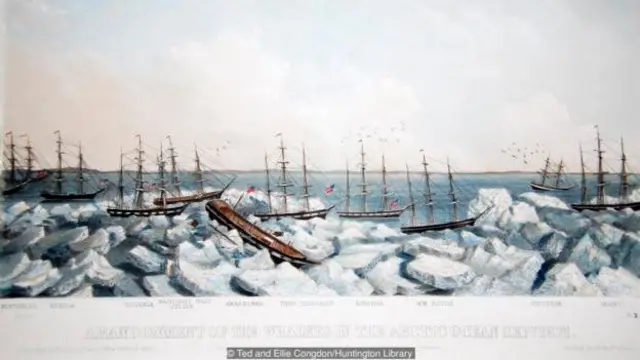 Beberapa lukisan menggambarkan armada perburuan paus yang ditinggalkan di dasar samudera Arktik.