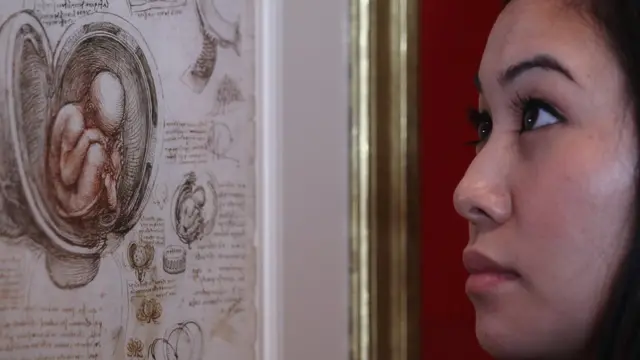 इंसानी संरचना