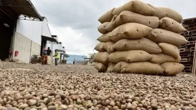 Wakulima wa korosho wamekuwa wakikumbwa na changamoto mara kadhaa