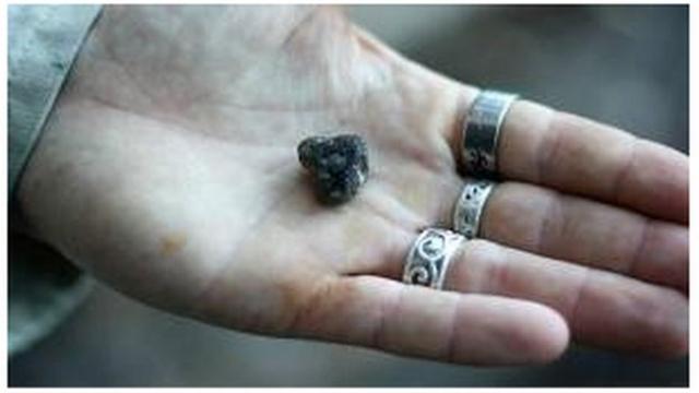 Ámbar gris na palmabaixar xbet99uma mão