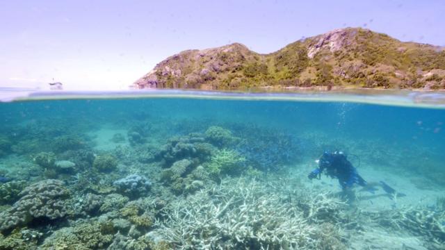 Airbnb也曾经在澳洲大堡礁举办类似活动。