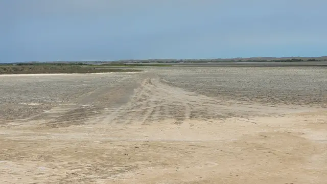 Huellas en el suelo del área protegida frente a las instalaciones de SpaceX