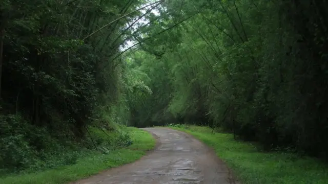 #BBCTamilPhotoContest