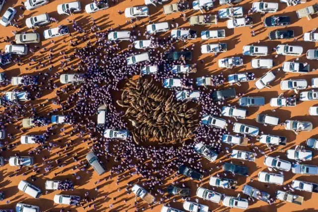 شتر