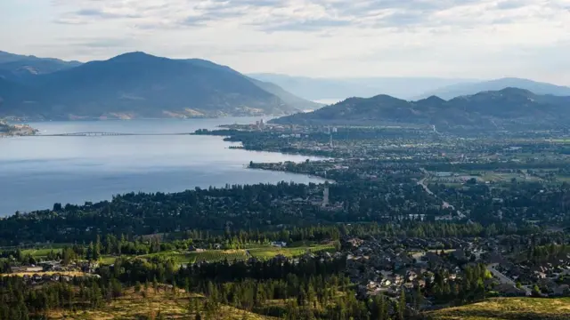 بیشتر گزارش‌ها از رویت اوگوپوگو از روی پل ویلیام آر بنت خبر داده‌اند