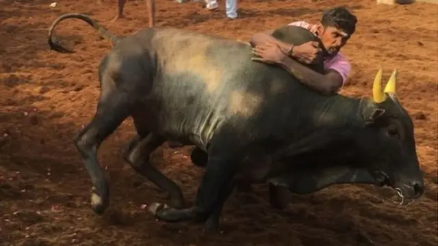 తమిళనాడులో జల్లికట్టు