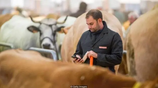 स्मार्टफ़ोन