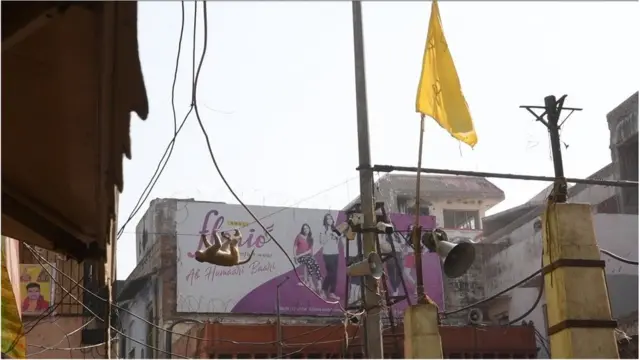 वृंदावन के बंदर