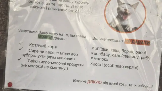 Список їжі, якою можна і не можна годувати котів