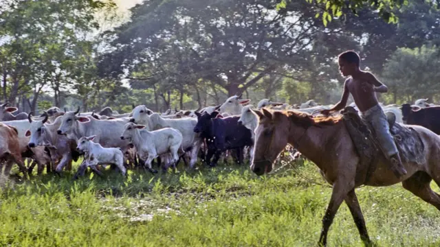 Niño arriando a caballo (Foto: Centro de Diversidad Cultural / Unesco)