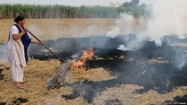 ਪਰਾਲੀ ਸਾੜਨਾ