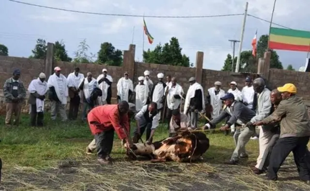 በዋናው በዓል እርድ ይፈጸማል