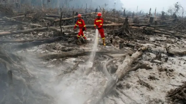 காட்டுத் தீ