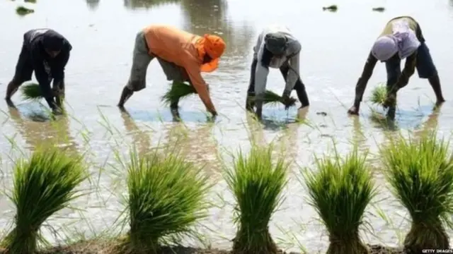 ग्रामीण अर्थव्यवस्था