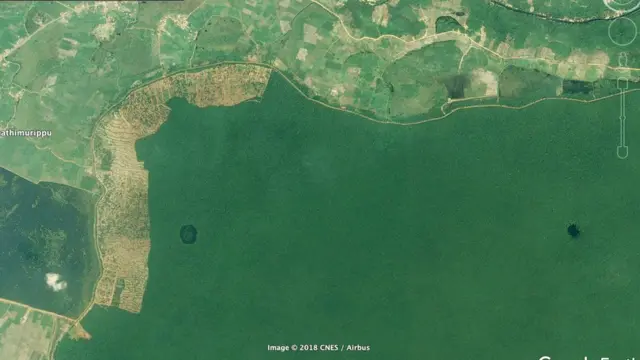 විල්පත්තුව ආශ්‍රිත එළිකිරීම්