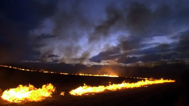 पुआल जलाने पर जुर्माने का प्रावधान