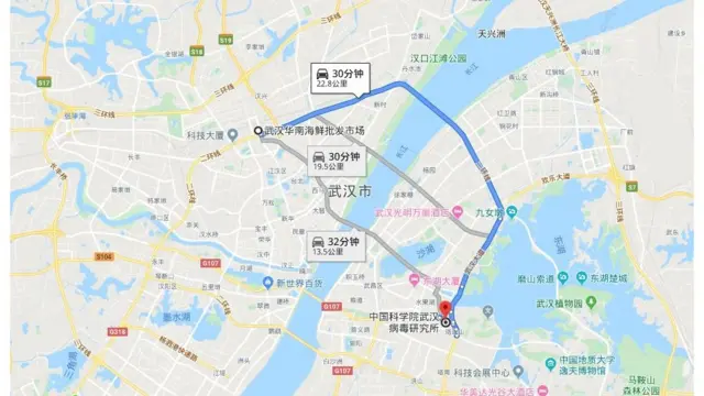 谷歌地圖上的武漢