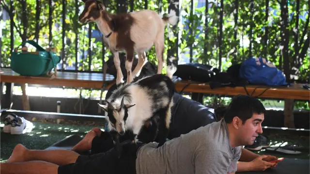 Akuyar Najeriya a Amurka