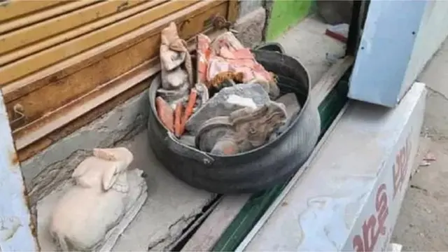 મૂર્તિઓ ખંડિત થઈ હોવાનો આક્ષેપ