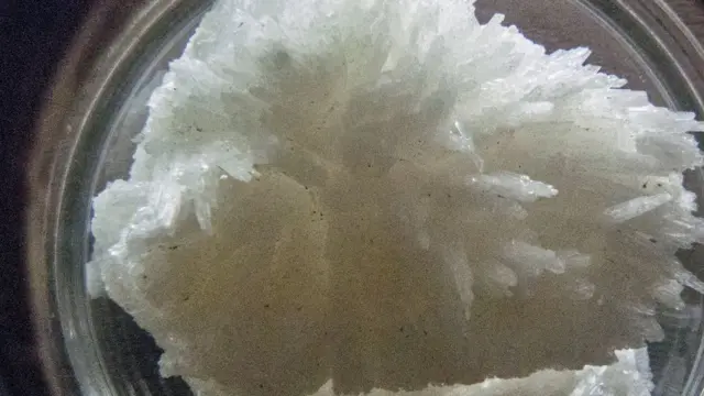 Nitrato de sodio