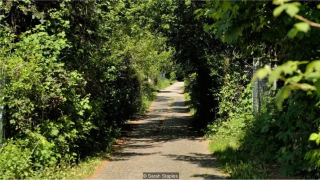 जर्मनी, ऑटोमोबाइल इंडस्ट्री, कारें