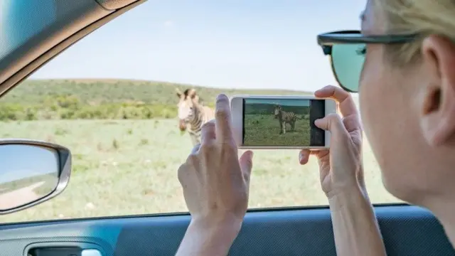 इंटरनेट, वन्यजीव