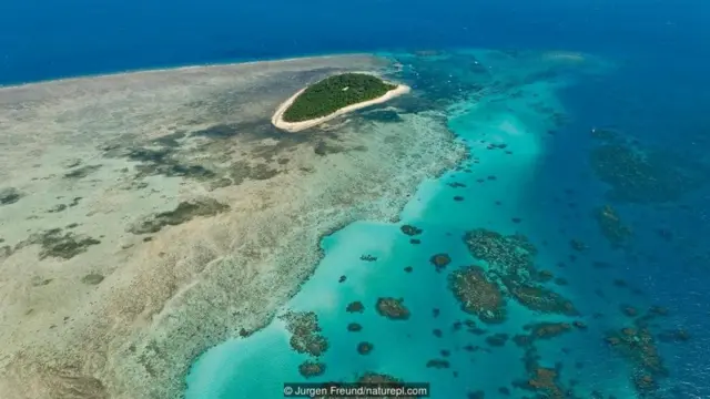 Đảo Green Island ở Great Barrier Reef của Úc