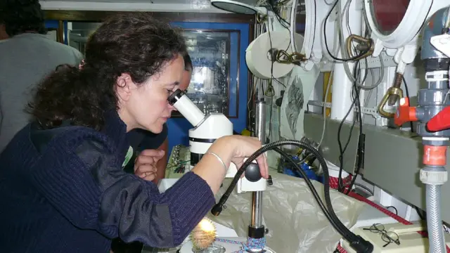 Covadonga Orejas Saco del Valle observant un organisme océanique au microscope.