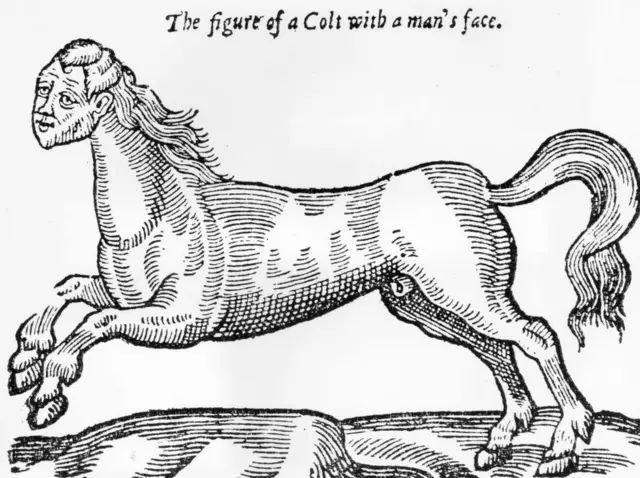 Caballo con cabeza de hombre, dibujado en 1550 por Ambroise Paré. (Foto: Hulton Archive/Getty Images)