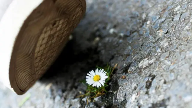 排斥新想法的传统早已有之。