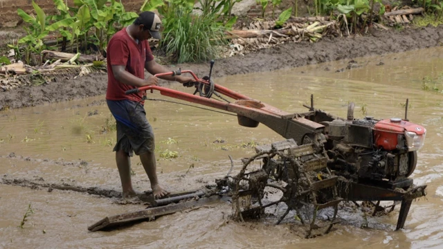 petani perubahan iklim