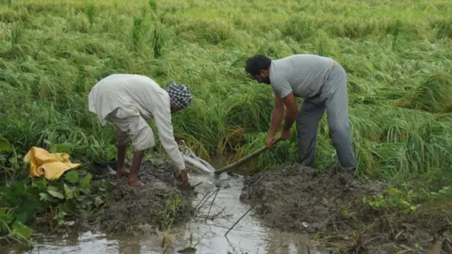 పొలానికి నీరు పెడుతున్న రైతు