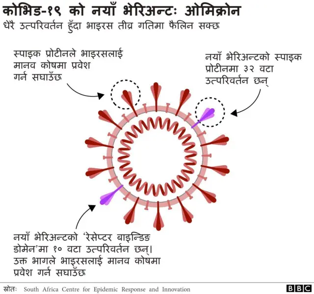 ओमिक्रोन