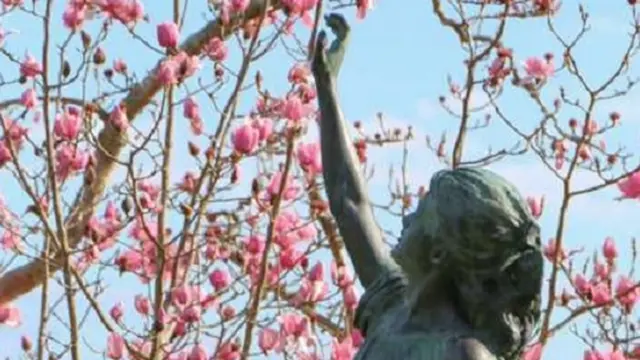 تمثال في حديقة مزهرة