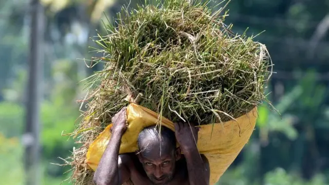 श्रीलंका आर्थिक संकट