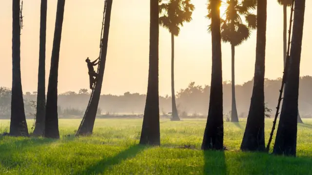 ရှေးဟောင်းဗမာစကားထွန်းကားခဲ့ရာအညာမြေရှုခင်း