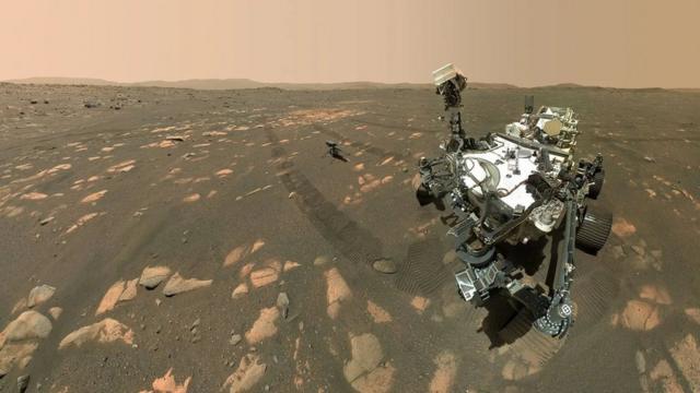 هل نقل البشر كائنات حية إلى المريخ دون قصد؟