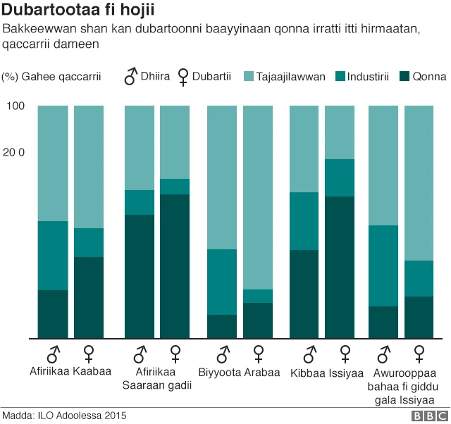 Giraafii hojii fi dubartoota, naannoo fi seektara yeroo dhiira waliin wal bira qabamu