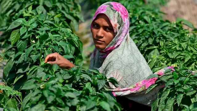 ملکی معاشی، جی ڈی پی