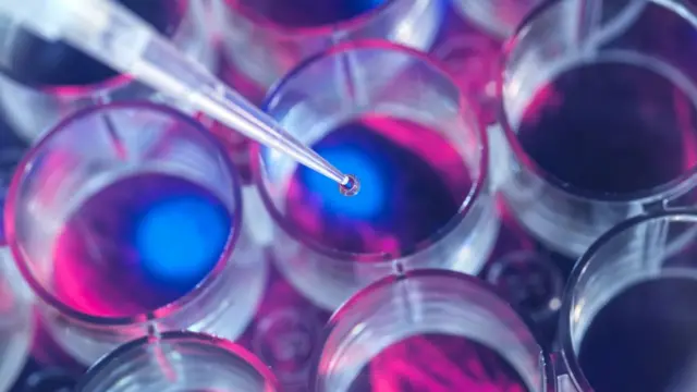 உயிரியல் ஆய்வு