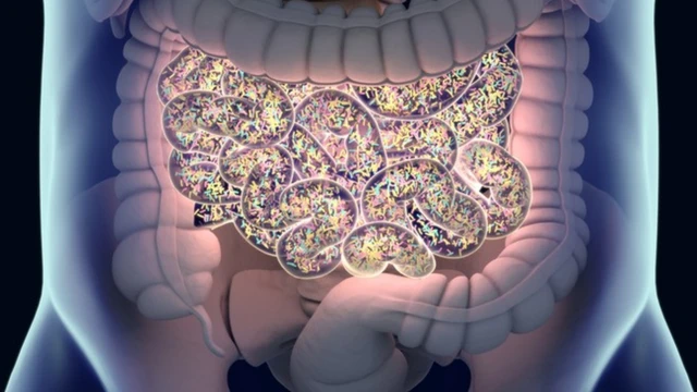 Microbiota intestinal