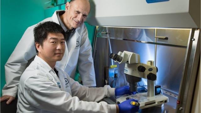 Los investigadores Jun Wu y Juan Carlos Izpisua Belmonte, del Salk Institute