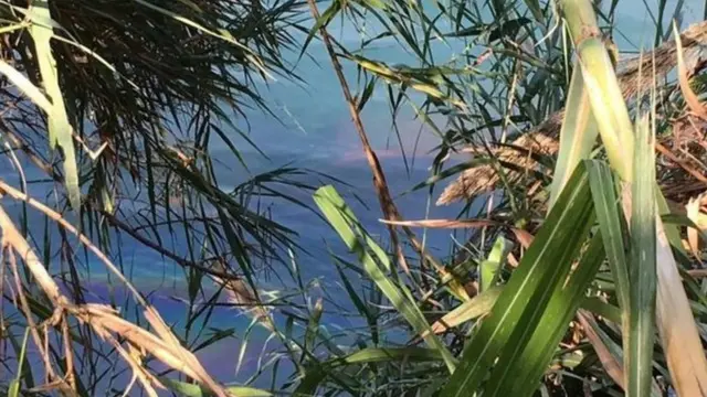 Di river where di car fall enter