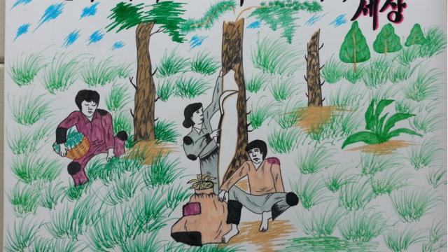 How to draw topic of tree plantation|save trees|a boy planting trees|Environment  day drawing poster - YouTube