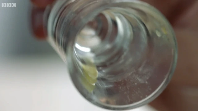 Hemotoxina extraída de un mordisco de serpiente.