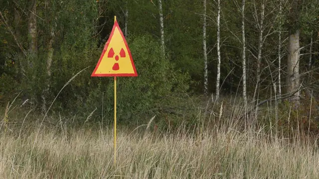 சிவப்புக் காடு