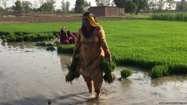 ਕਿਸਾਨ ਤੇ ਮਜ਼ਦੂਰ