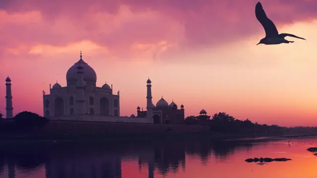 கொரோனா தடுப்பூசி பரிசோதனை பலன் தருமா? - உலக நிலவரம் என்ன? - Live Updates