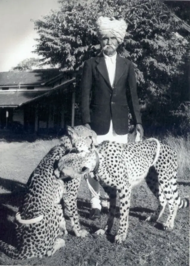 ఇస్మాయిల్ చిత్తేవాన్