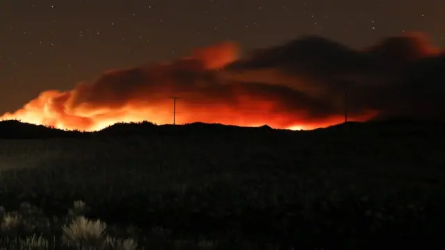 కార్చిచ్చులు